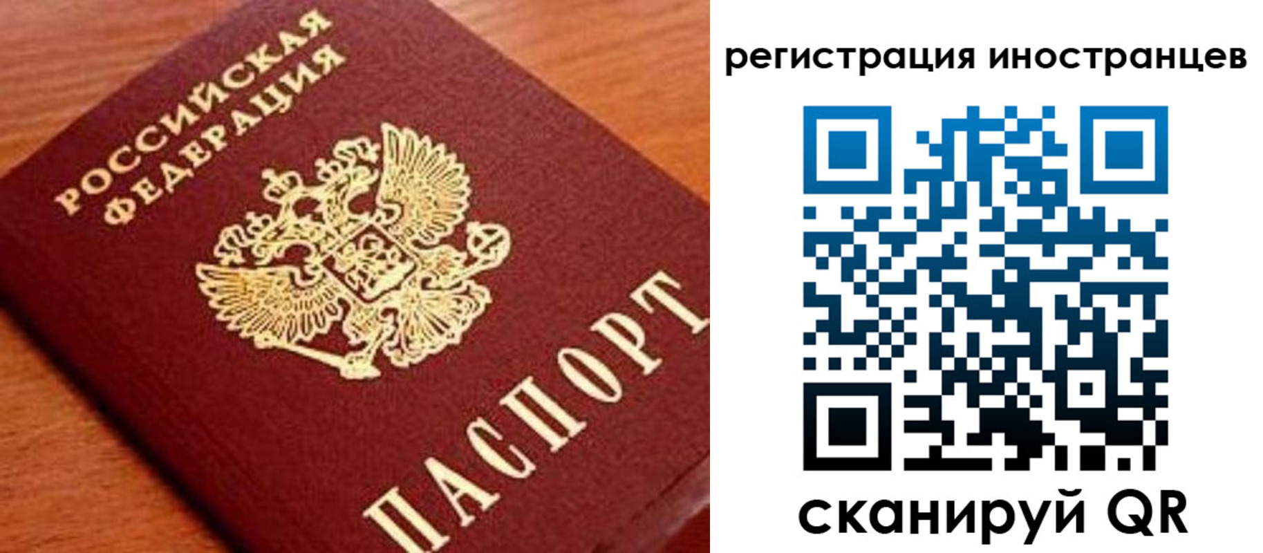 временная регистрация поиск в Чечне